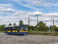 NL-ką po Płocku i okolicach