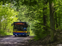 NL-ką po Płocku i okolicach