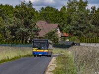 NL-ką po Płocku i okolicach