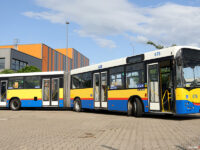 VI Zlot Jelcza w Jelczu-Laskowicach