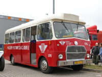 VI Zlot Jelcza w Jelczu-Laskowicach