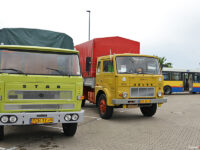 VI Zlot Jelcza w Jelczu-Laskowicach