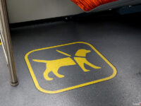 Miejsce dla psa przewodnika